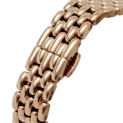 ساعة امبوريو ارماني للنساء AR11462