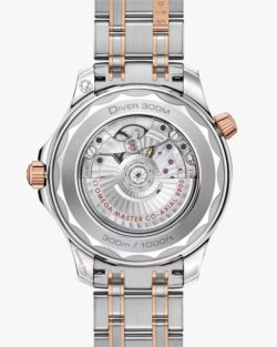 ⁦Omega Seamaster Diver 300M 42 mm steel ‑ Sedna gold on steel ‑ Sedna gold⁩ - الصورة ⁦2⁩