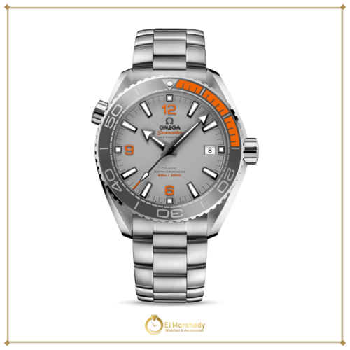 Omega Seamaster Planet Ocean 600M 43.5 mm titanium on titanium [frame:v1]
