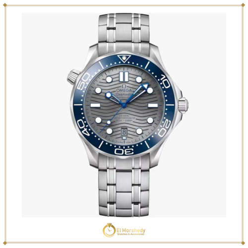 Omega Seamaster Diver 300M 42 mm, steel on steel [frame:v1]